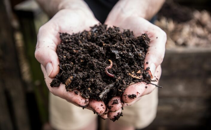 Why Composting Can Help Mitigate Climate Change